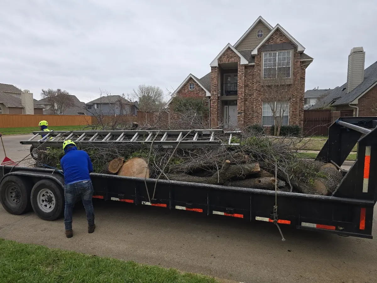 Expert Lot Clearing with proper safety equipment in New Point